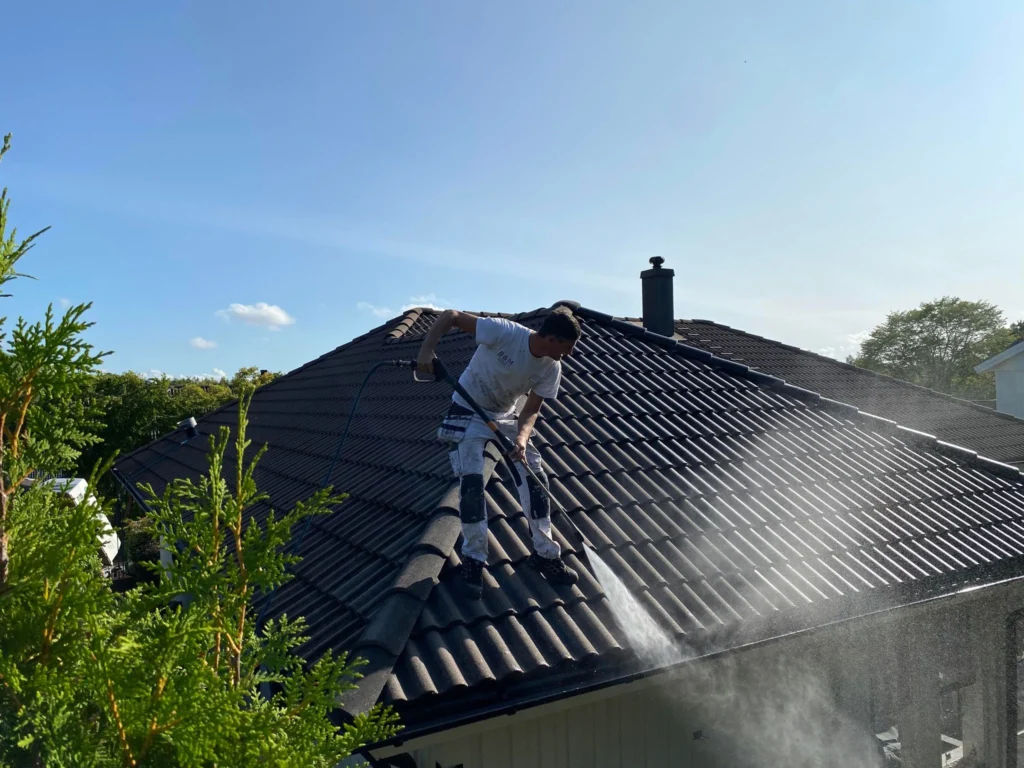 mossbekmpning storgoteborg bm maleri goteborg