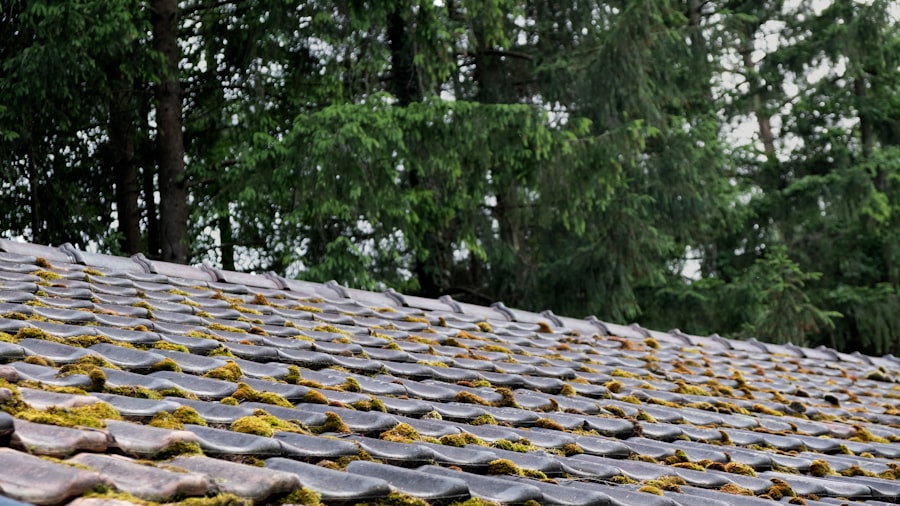 Photo Roof moss